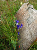 photo thumbnail #11