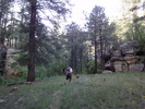 photo thumbnail #1