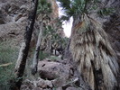 photo thumbnail #5