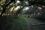 photo thumbnail #10
