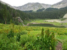 photo thumbnail #1