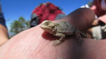 photo thumbnail #2