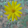 photo thumbnail #13