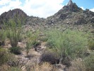 photo thumbnail #1
