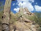 photo thumbnail #2