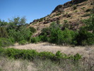 photo thumbnail #1
