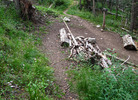 photo thumbnail #3