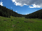 photo thumbnail #13