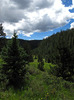 photo thumbnail #14