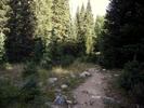 photo thumbnail #3