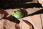 photo thumbnail #7
