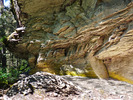 photo thumbnail #11