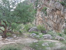 photo thumbnail #10