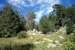 photo thumbnail #3