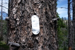photo thumbnail #13