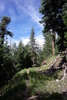 photo thumbnail #6