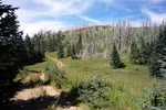 photo thumbnail #9