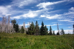 photo thumbnail #10
