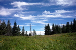 photo thumbnail #11