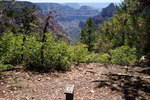 photo thumbnail #8