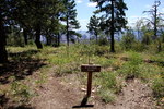photo thumbnail #12