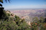 photo thumbnail #14