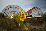 photo thumbnail #7