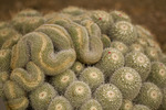 photo thumbnail #10