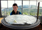 photo thumbnail #6