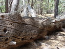 photo thumbnail #5