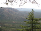 photo thumbnail #3