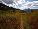photo thumbnail #5