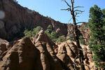 photo thumbnail #9
