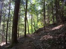 photo thumbnail #2