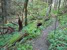 photo thumbnail #4