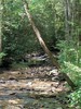 photo thumbnail #14