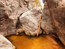 photo thumbnail #7