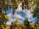 photo thumbnail #8