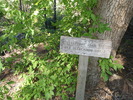 photo thumbnail #14