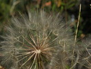 photo thumbnail #15