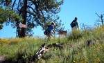 photo thumbnail #5