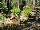 photo thumbnail #5