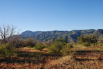 photo thumbnail #7