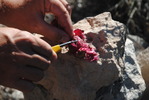 photo thumbnail #10