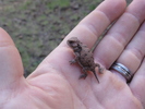 photo thumbnail #9