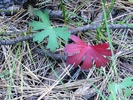 photo thumbnail #11