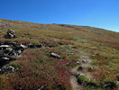 photo thumbnail #14