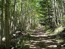 photo thumbnail #5