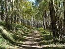 photo thumbnail #12