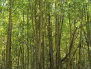 photo thumbnail #13